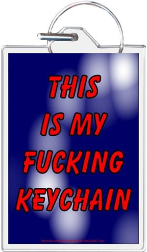 This Is My Fucking Keychain Keychain Clear Background Image