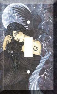 LIGHT SWITCH PLATE - BLACK MAGICK FAIRY