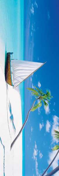  Paradise Found Slim Print Poster Image