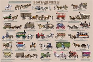 Hooves and Wheels Educational Poster Image