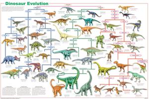 Dinosaur Evolution Educational Poster 24x36 image