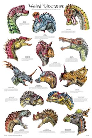 Weird Dinosaurs Educational Poster Image