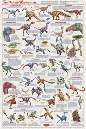 Feathered Dinosaurs 2 Educational Poster Image