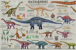Sauropods Educational Poster Image