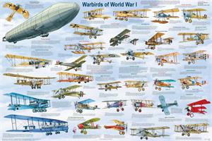 Warbirds of World War I Military Airplanes Educational Poster Image