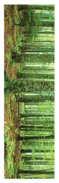 Rainforest Slim Print - 12" x 36"