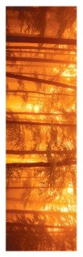 In the Mist Slim Print - 12" x 36"