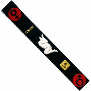 Adult Incense Stick Burner - CANCER
