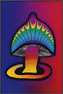 Postcard - Magic Mushroom Image