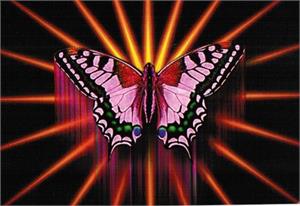 Postcard - Butterfly Rising Image