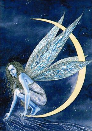 Postcard - Stellata Image