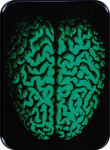 BRAIN LARGE STICKER - 2 1/2" X 3 3/4"