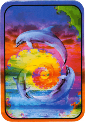 Dolphins - Large Sticker Image