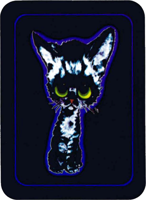 Big Eyed Kitty - Mini Sticker Image