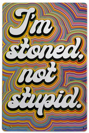 I'm Stoned Not Stupid Tin Sign - 20x30cm - 7.87" x 11.81" I'm Stoned Not Stupid Tin Sign - 20x30cm - 7.87" x 11.81" image