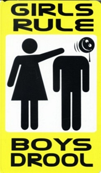 GIRLS RULE, BOYS DROOL - Large - 4.5" x 6" - STICKER