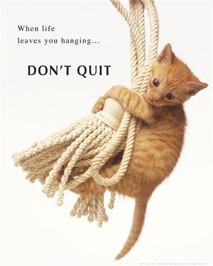 Don't Quit Poster Image