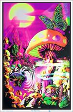 Magic Valley Blacklight Poster Image