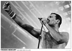 Freddie Mercury Poster - 23.5