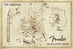 Fender Stratocaster Guitar Diagram Poster Image