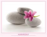 Harmony Poster Image