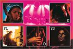 Pink Floyd Live Collage Poster Image