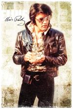 Elvis Presley - Cool - Poster - 24