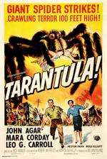 Tarantula Poster Image