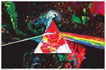 Pink Floyd - Non-Flocked Blacklight Poster Image