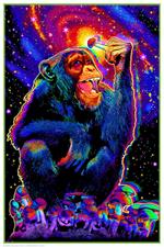 Monkey Mushroom - Non-Flocked Blacklight Poster 24