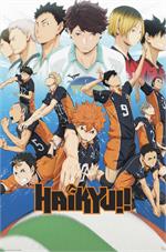 Haikyu!! - Key Art Season 1 - Anime Poster Image