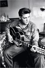 Elvis Presley Guitar Music Poster Image