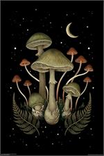 Death Cap Mushrooms Poster - 24