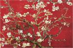 Van Gogh - Almond Blossom in Red Poster - 24