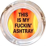 THIS IS MY FUCKING ASHTRAY - 4