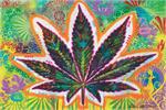 Psychedelic Leaf by Dean Russo Poster Image