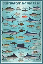 Saltwater Game Fish Educational Poster Image