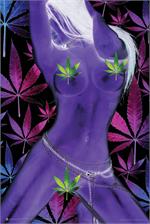 Sex & Weed by Daveed Benito Poster Image