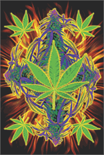 FLAMING LEAF POSTER - 24