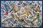 Call of the Wild Fairy by Sheila Wolk Poster Image