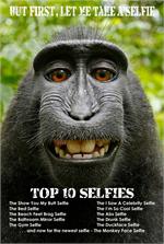 TOP TEN SELFIES - MONKEY SELFIE POSTER - 24