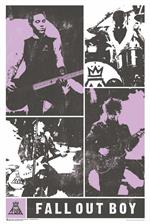 Fall Out Boy Panel Poster Image