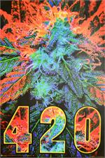 420 Non-Flocked Blacklight Poster Image