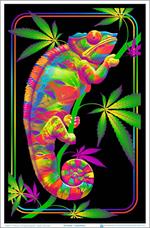 Chameleon Flocked Black Light Poster - 23