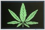 The Leaf Black Light Poster Image