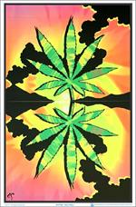 Maui Waui Black Light Poster Image