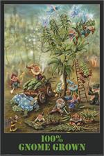 GNOME GROWN - POSTER - MIKE DUBOIS - 24