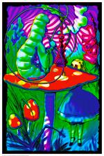 Psychedelic Alice - Non Flocked Blacklight Poster Image