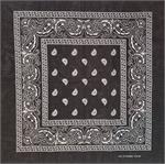 Paisley Bandana Black 21