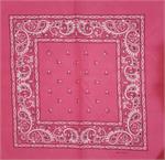 Paisley Bandana Fuscia 22